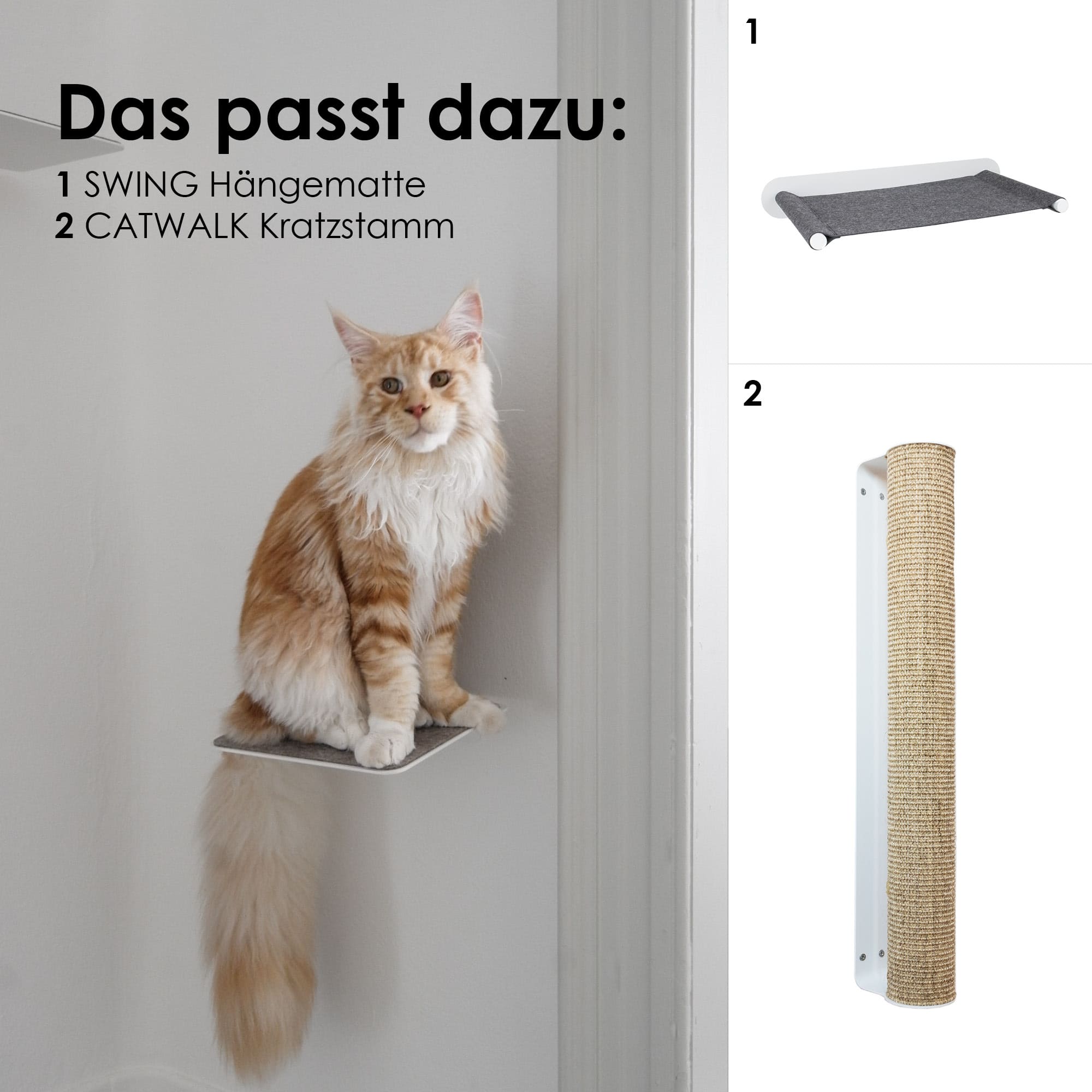 STEPS Marches d'escalade pour chats