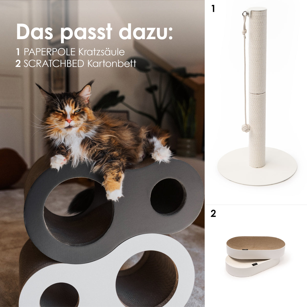 Papp Kratzmöbel für Katzen