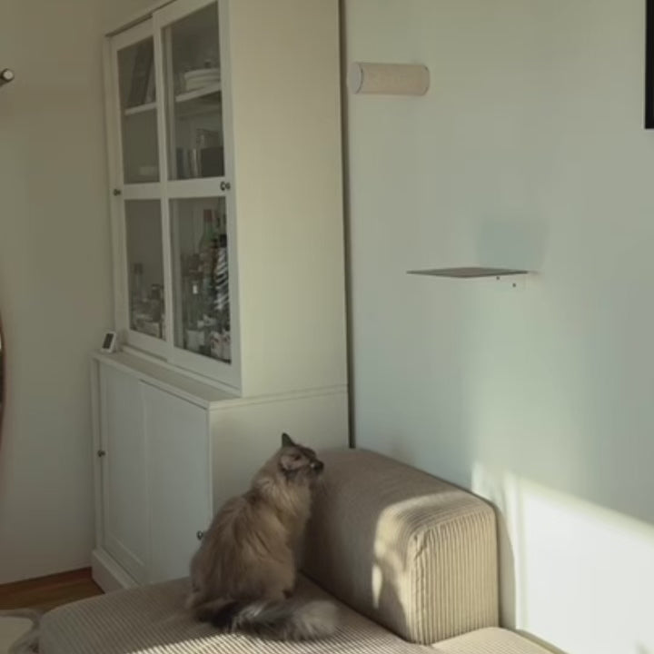 JUMPER LITE Kratzstamm