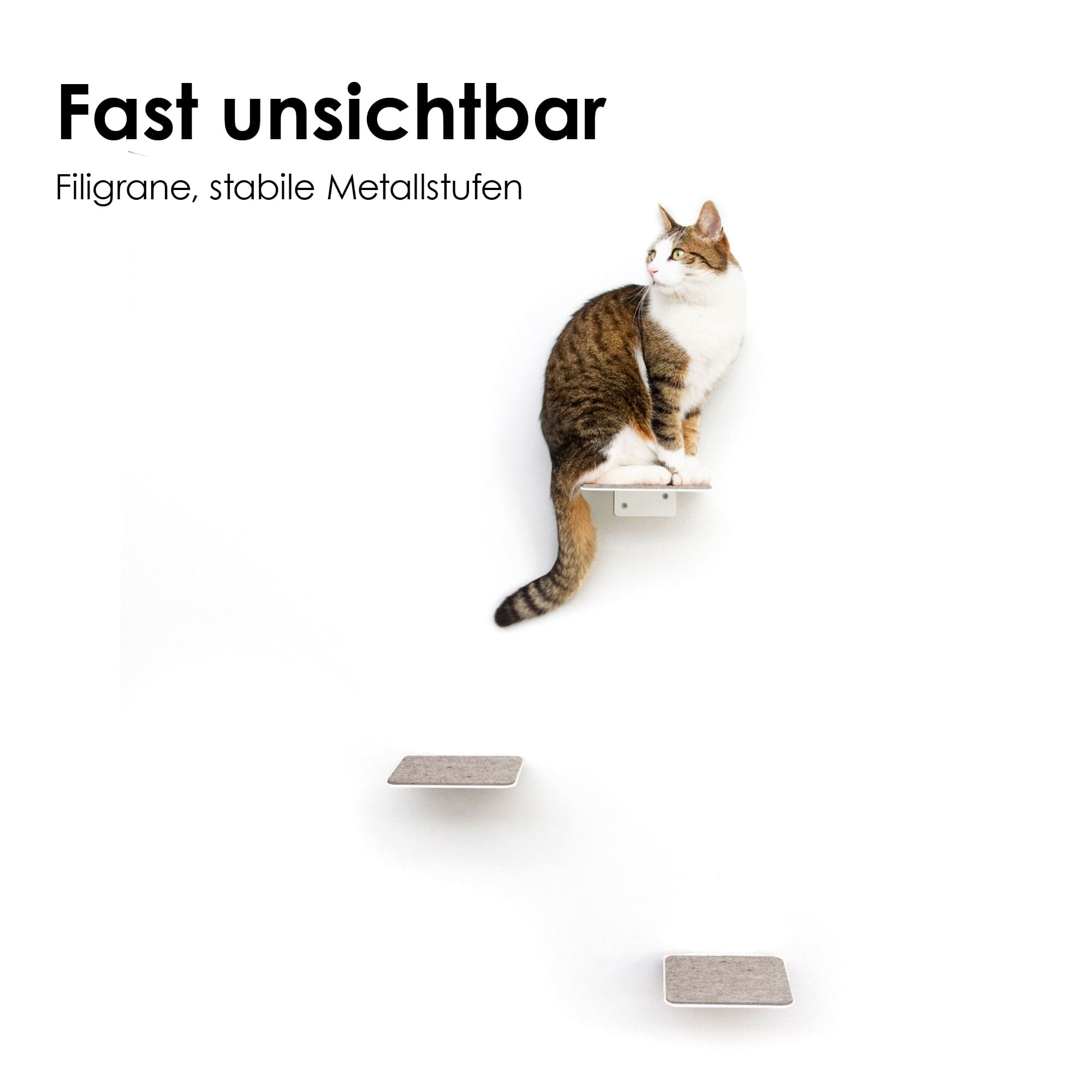 STEPS Marches d'escalade pour chats