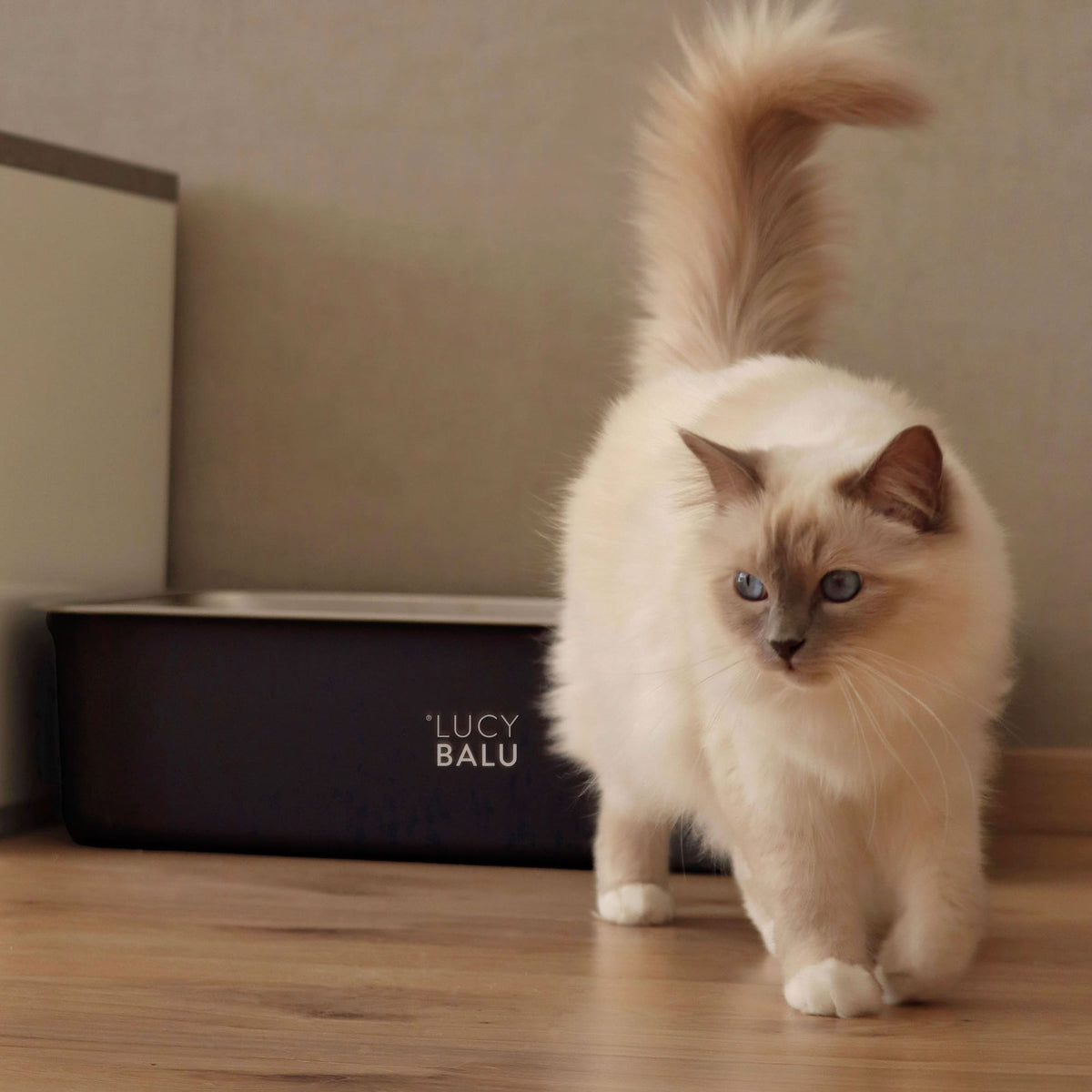 STEELOO Katzentoilette