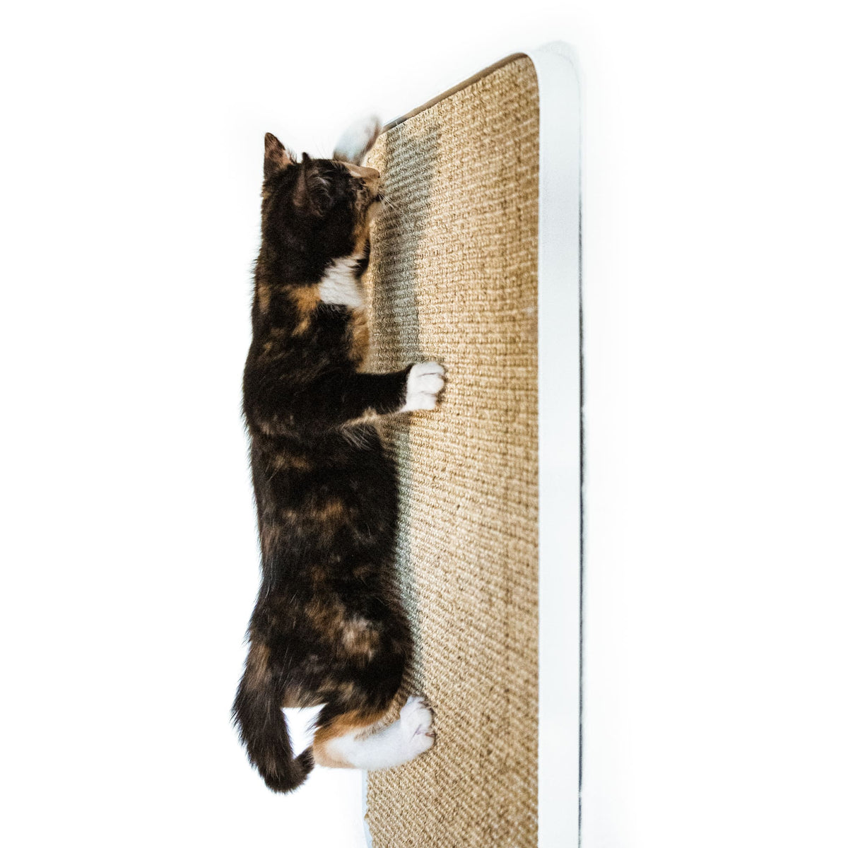 Wand Katzen Kratzbrett in weiß sisal