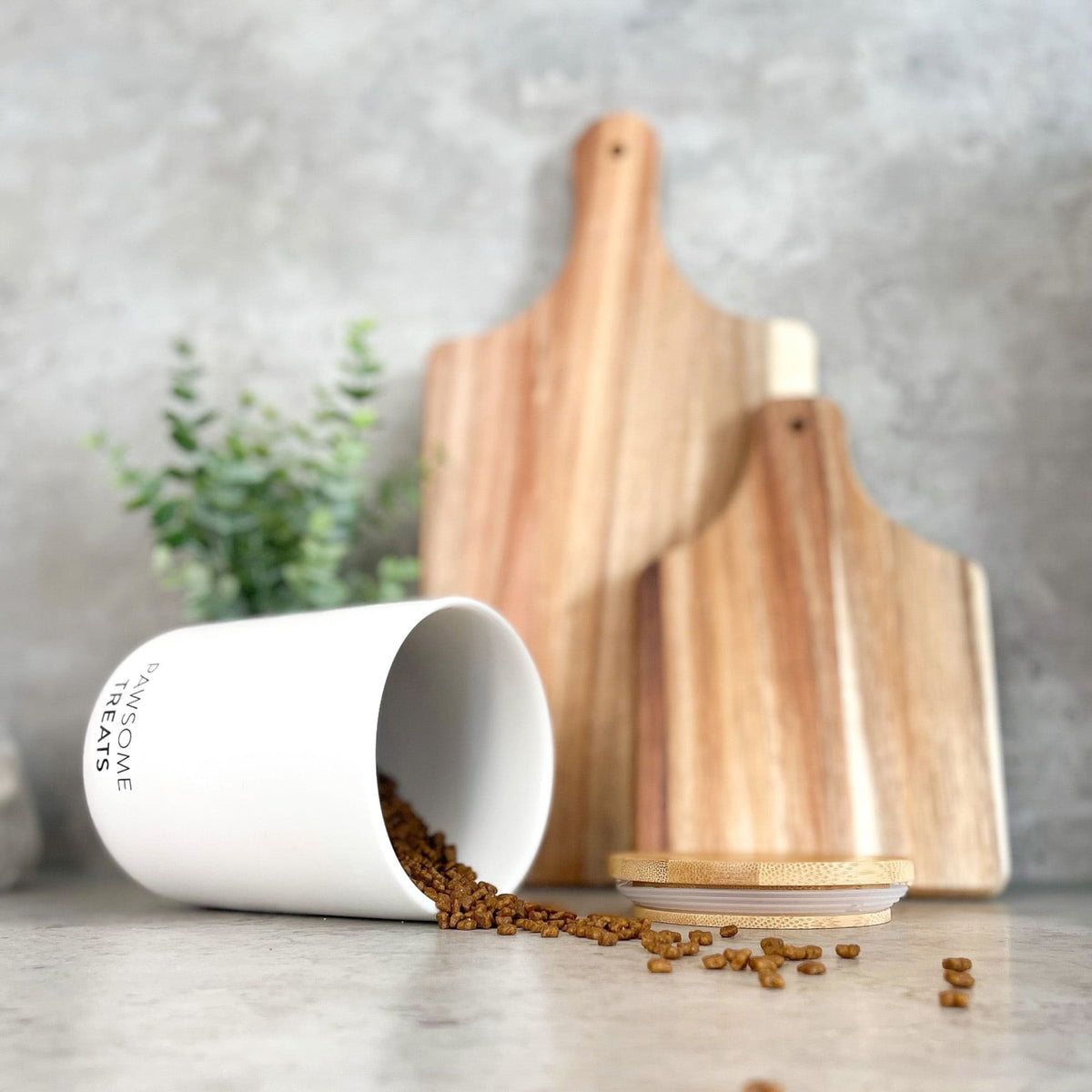 SNACK BAR Boîte à friandises