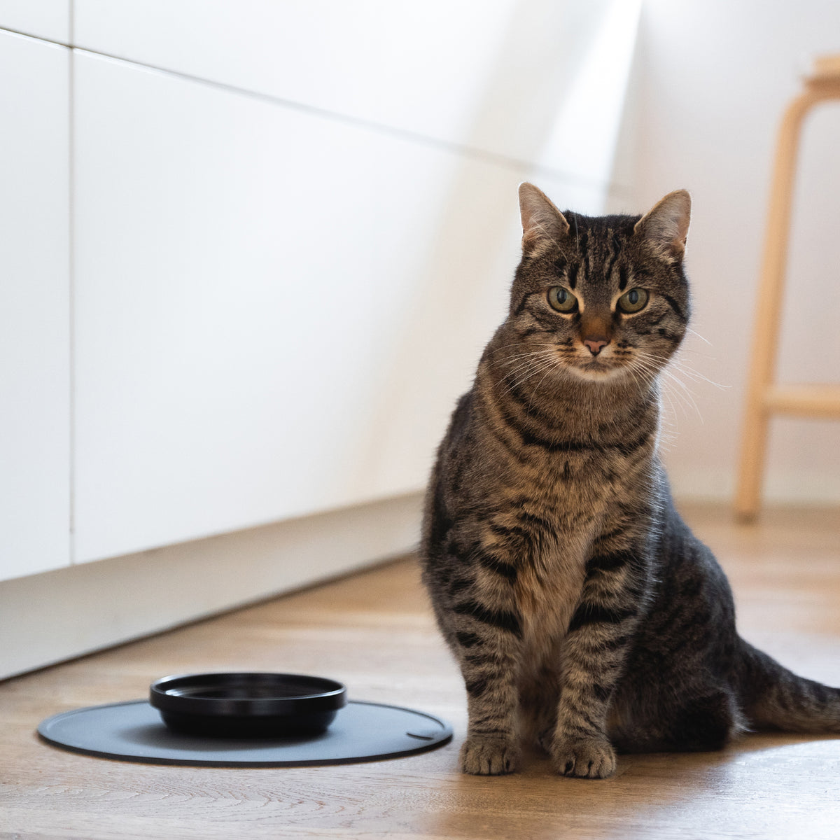 Napfunterlage für Futternapf Katze