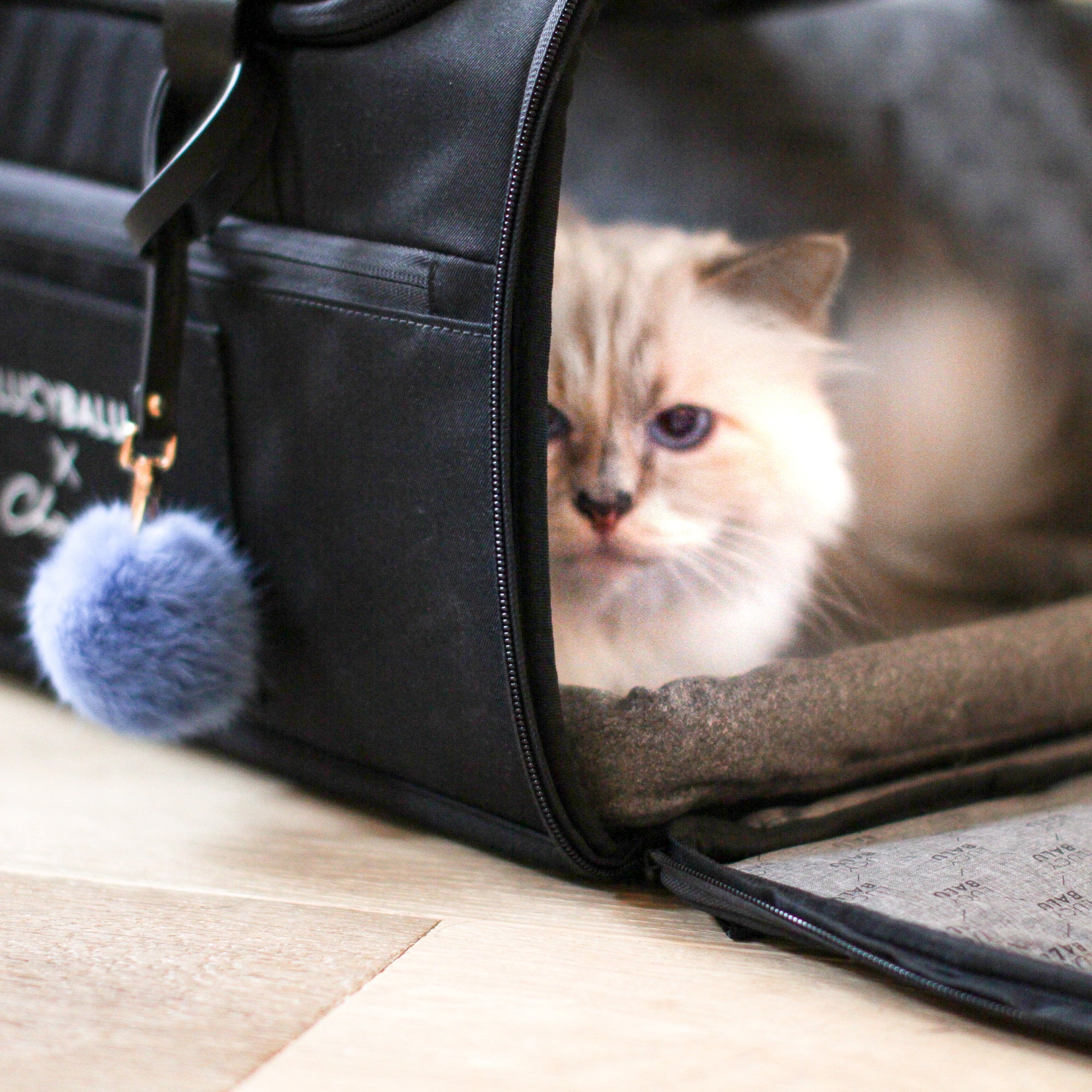 LucyBalu - Designer Katzentransporttasche CHECK-IN von Choupette ...