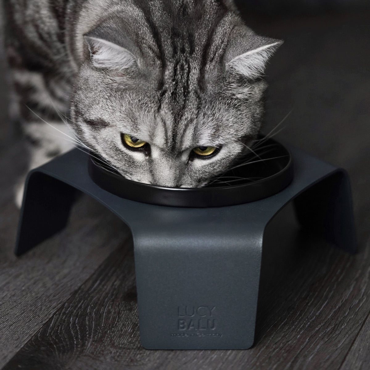 Katzen Futtersttion Keramik Schüssel schwarz