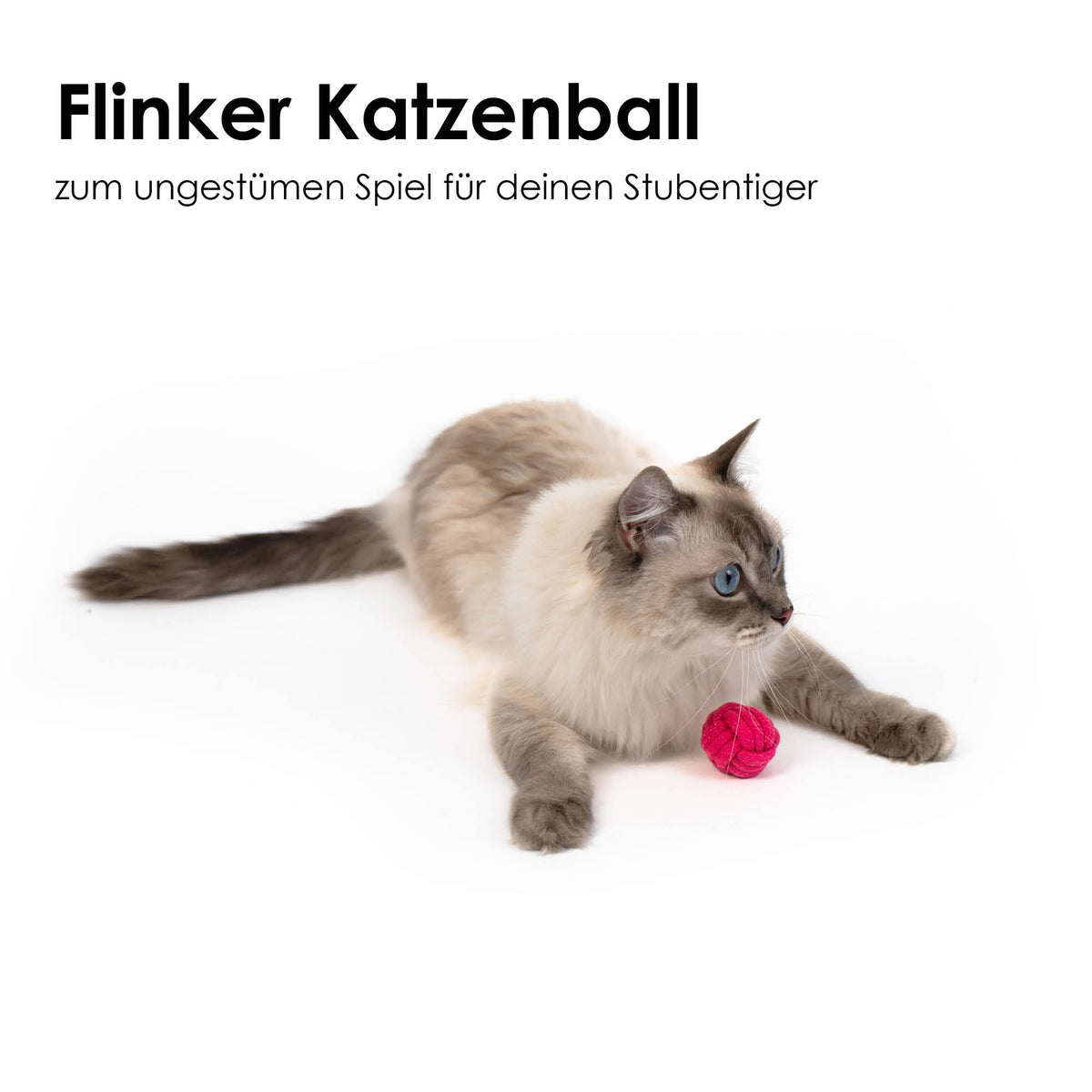 Katzen Spielzeug Set