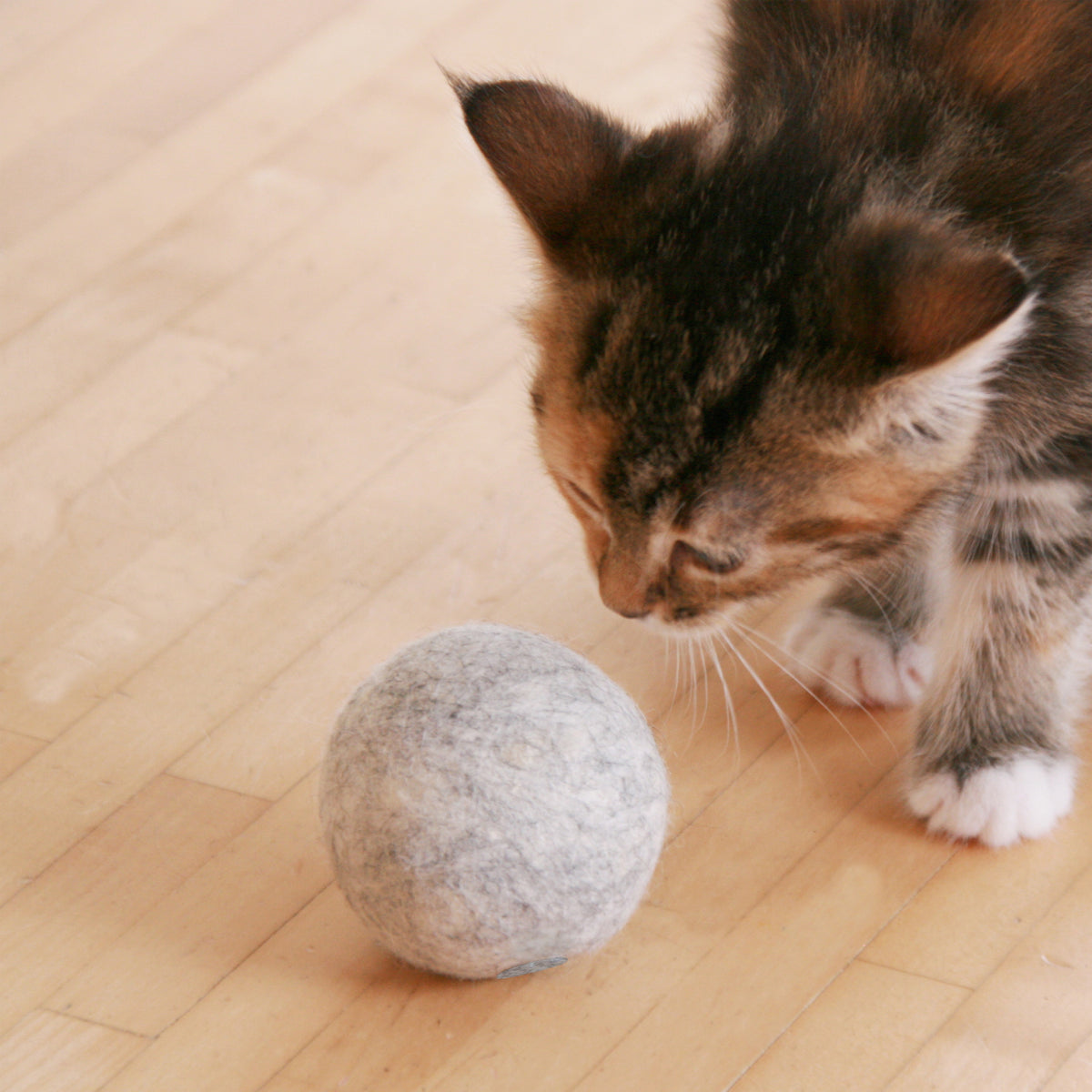 Spielball mit Katzenminze - für Katzen