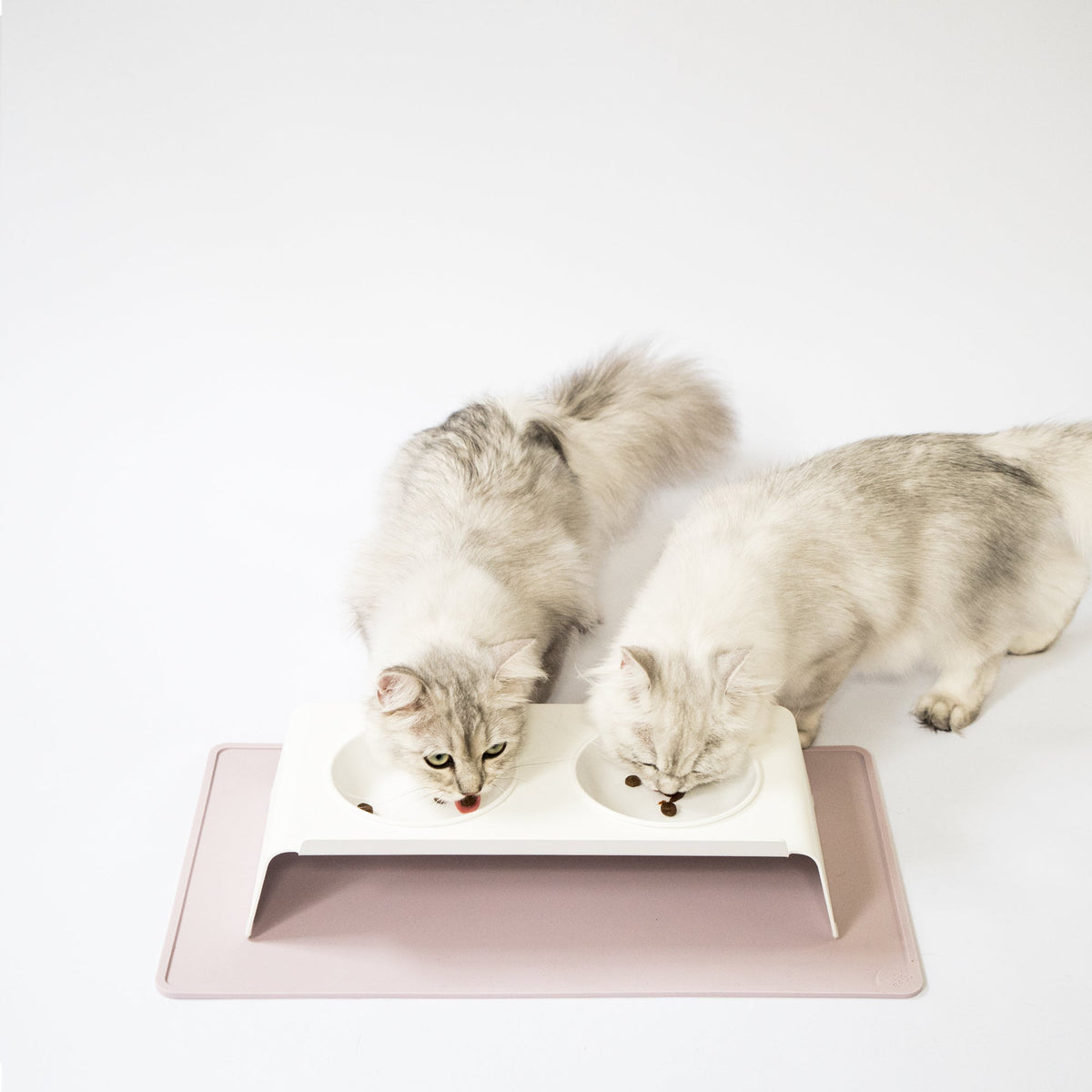 Set Katzennapf und Napfunterlage