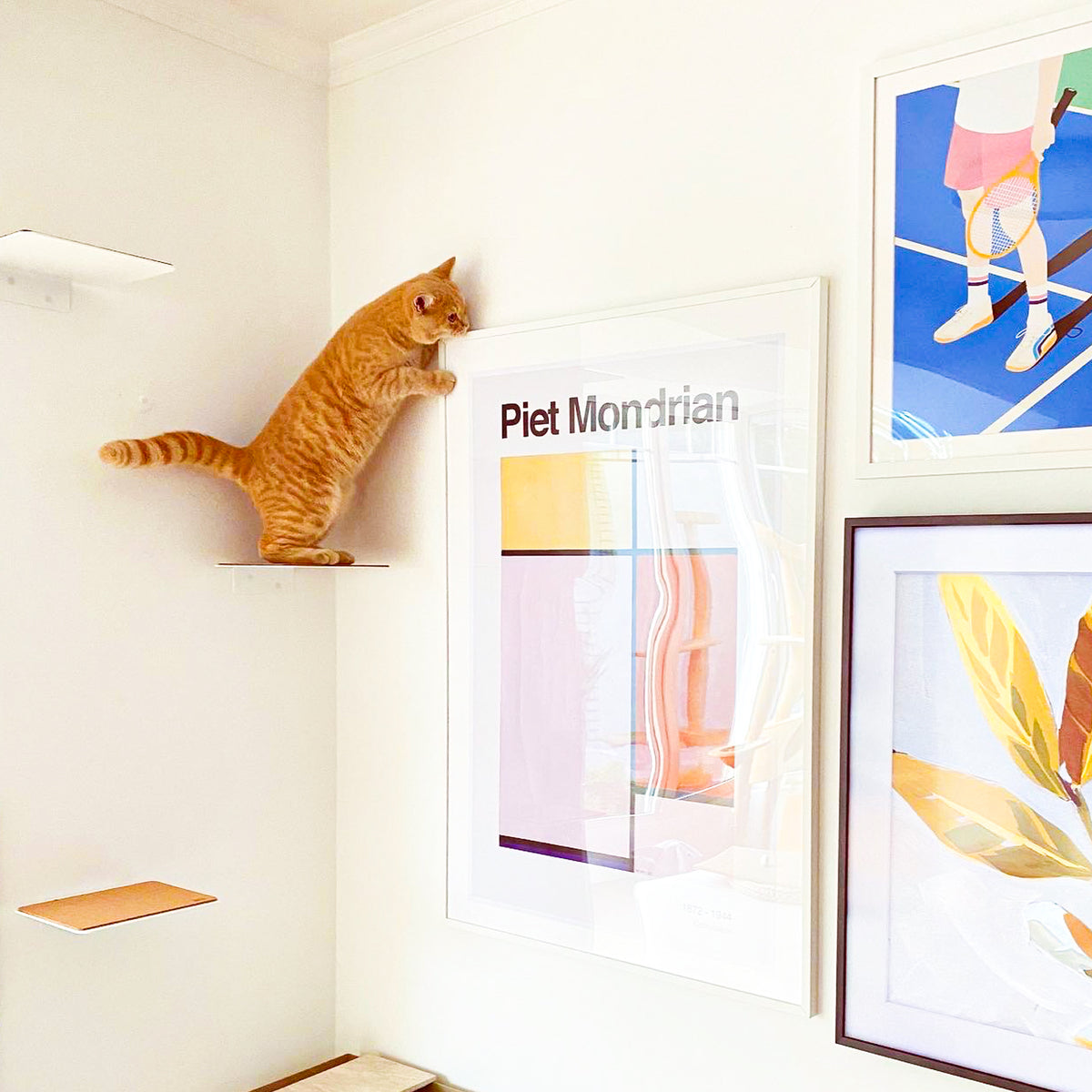 Katzen Kletterstufen weiß