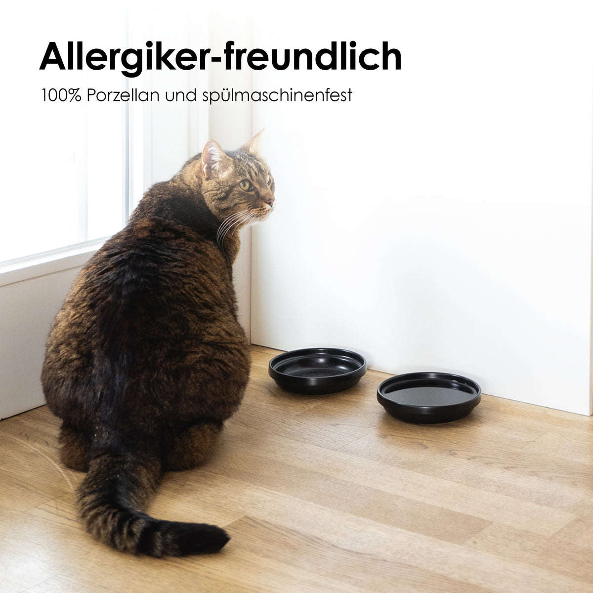 Katzennapf für Allergiker 
