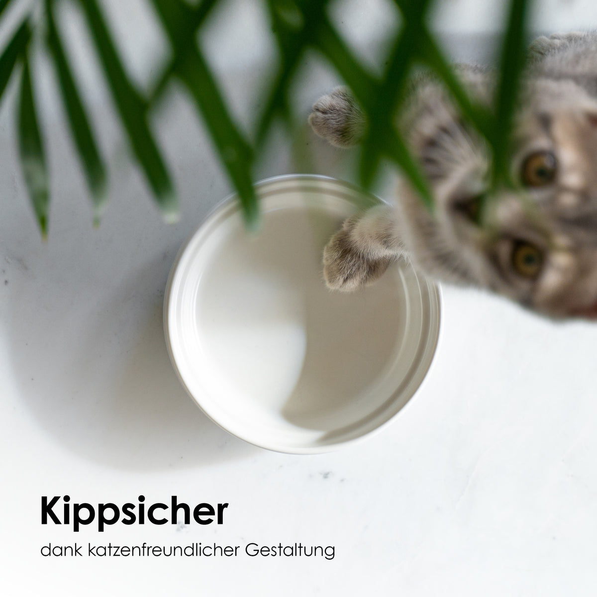 Kippsicherer Napf für Katzen