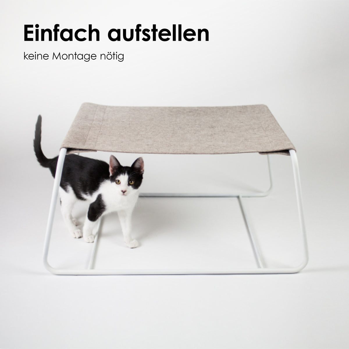 Designer Katzen Liege Bett