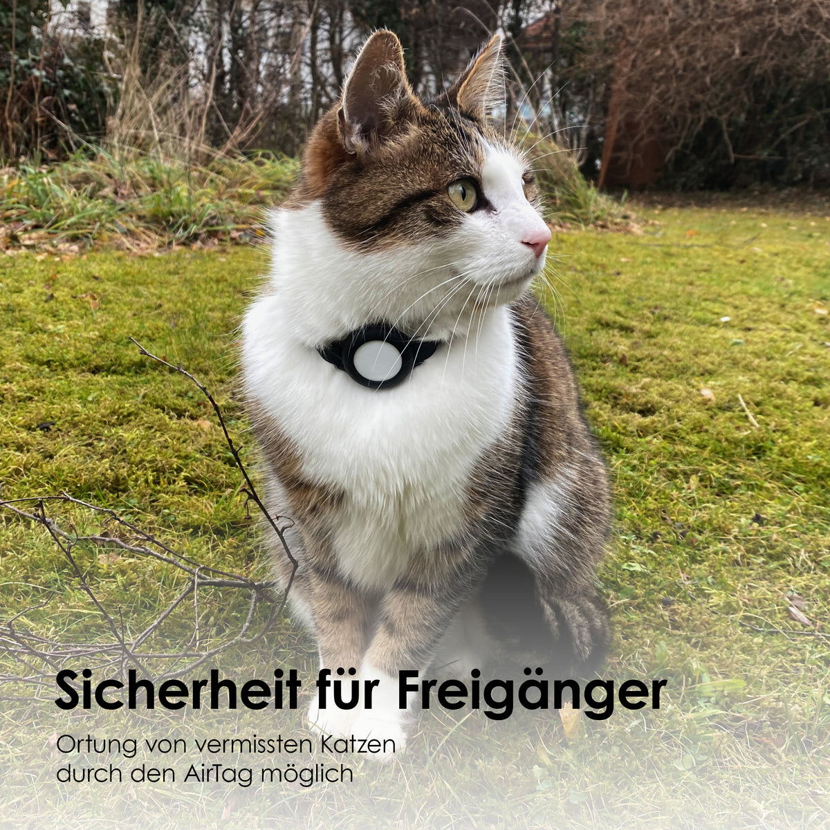 Katzen Tracking mit AirTag Halsband