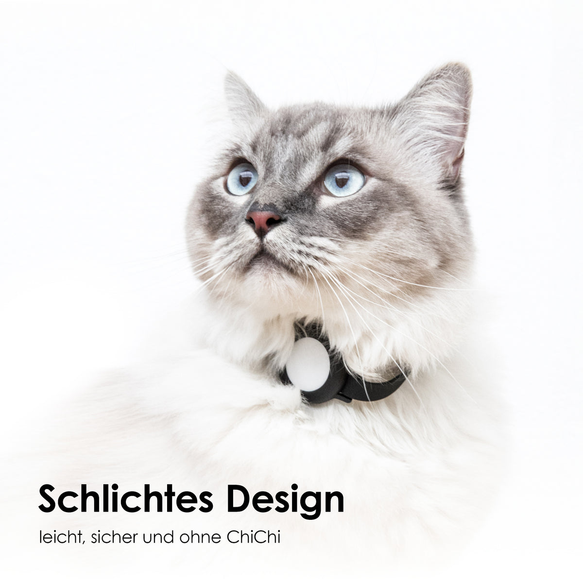 Schlichtes Katzenhalsband 