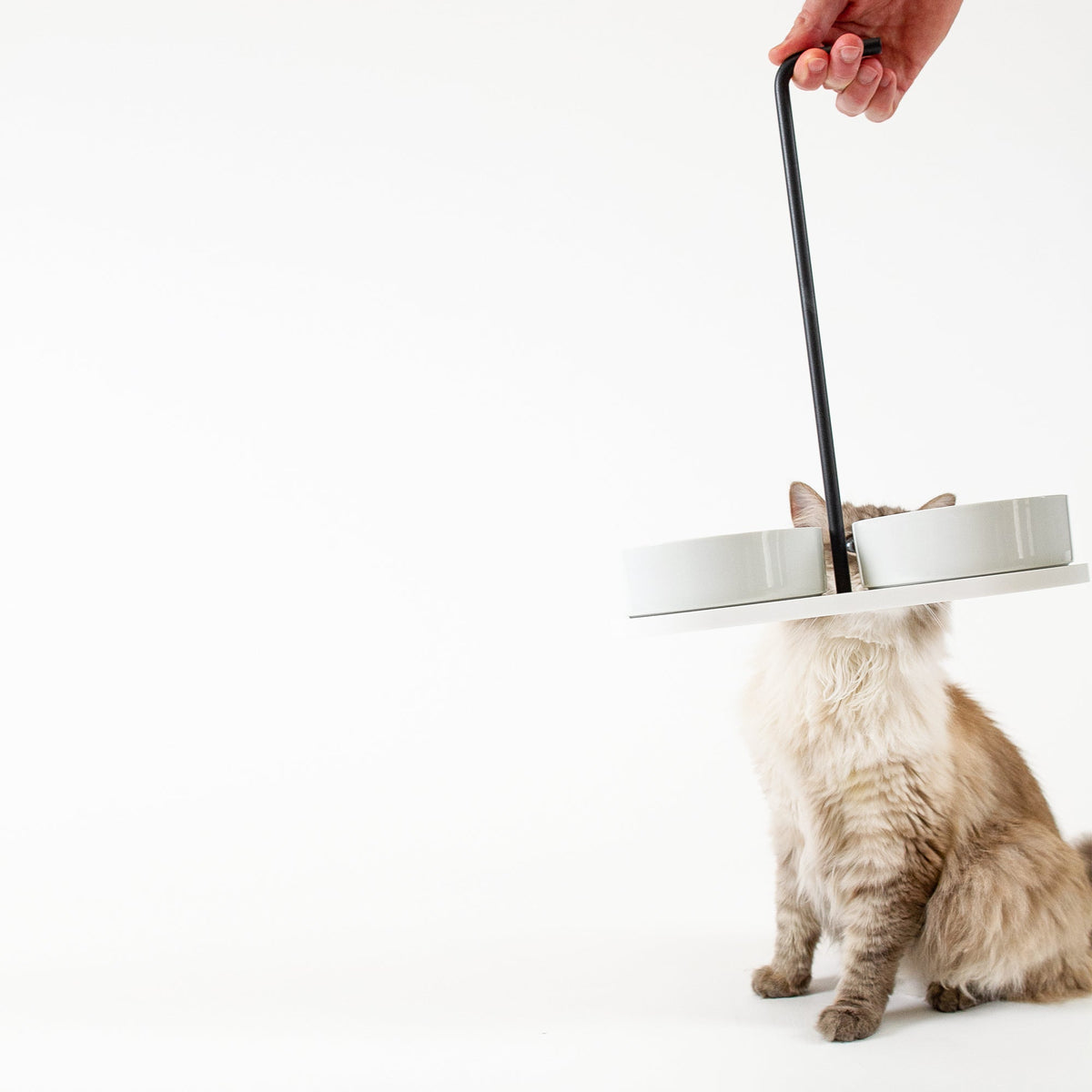 Katzen Futterbar Design Produkt LucyBalu