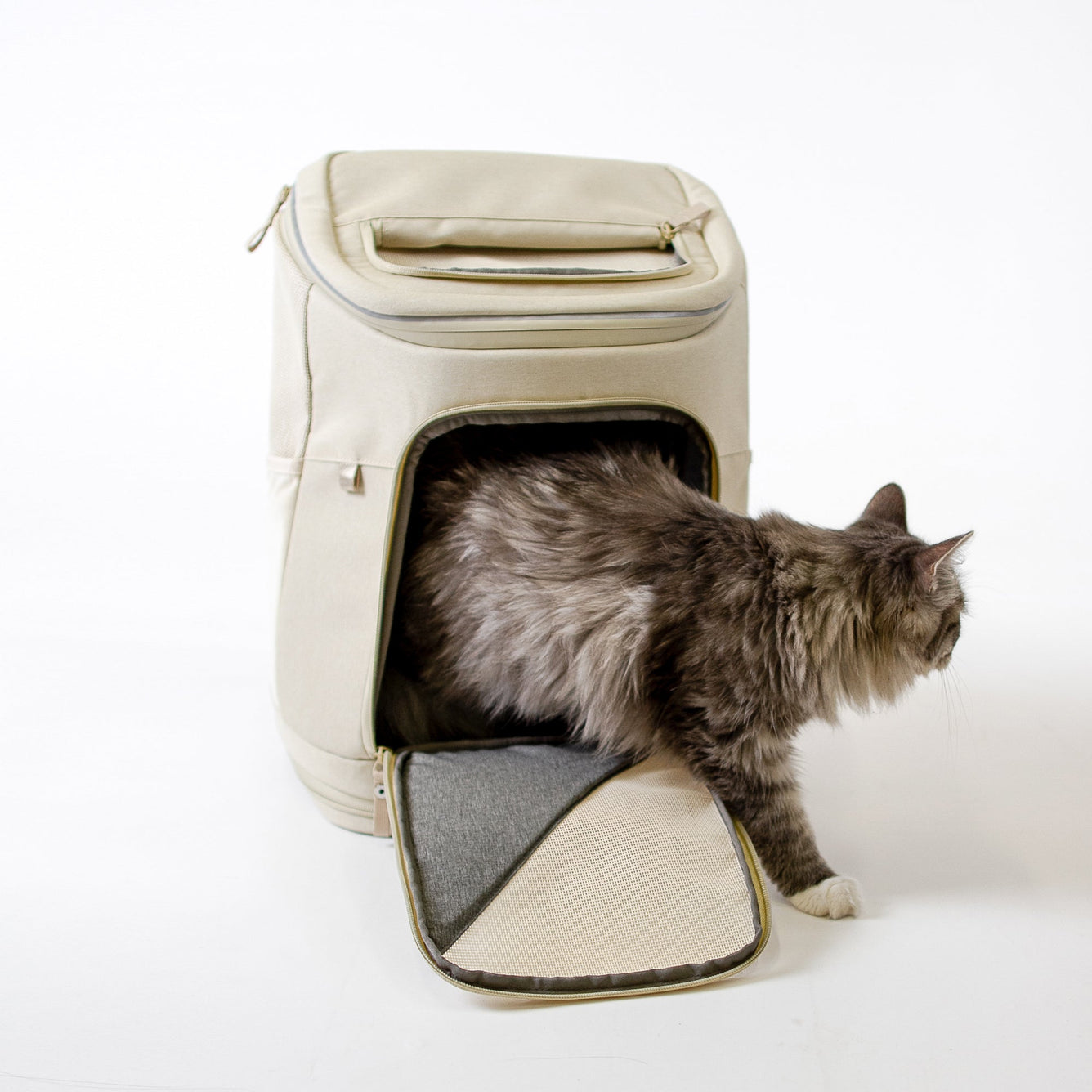 Rucksack für Katzen