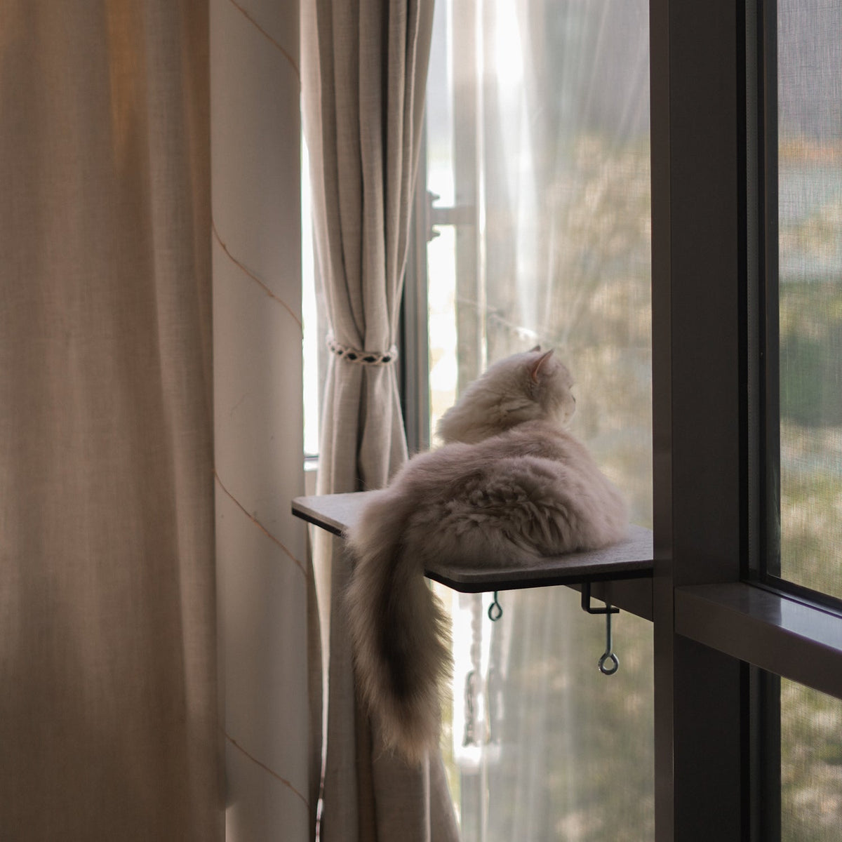 Katzen Fensterbankliege mit Filzauflage